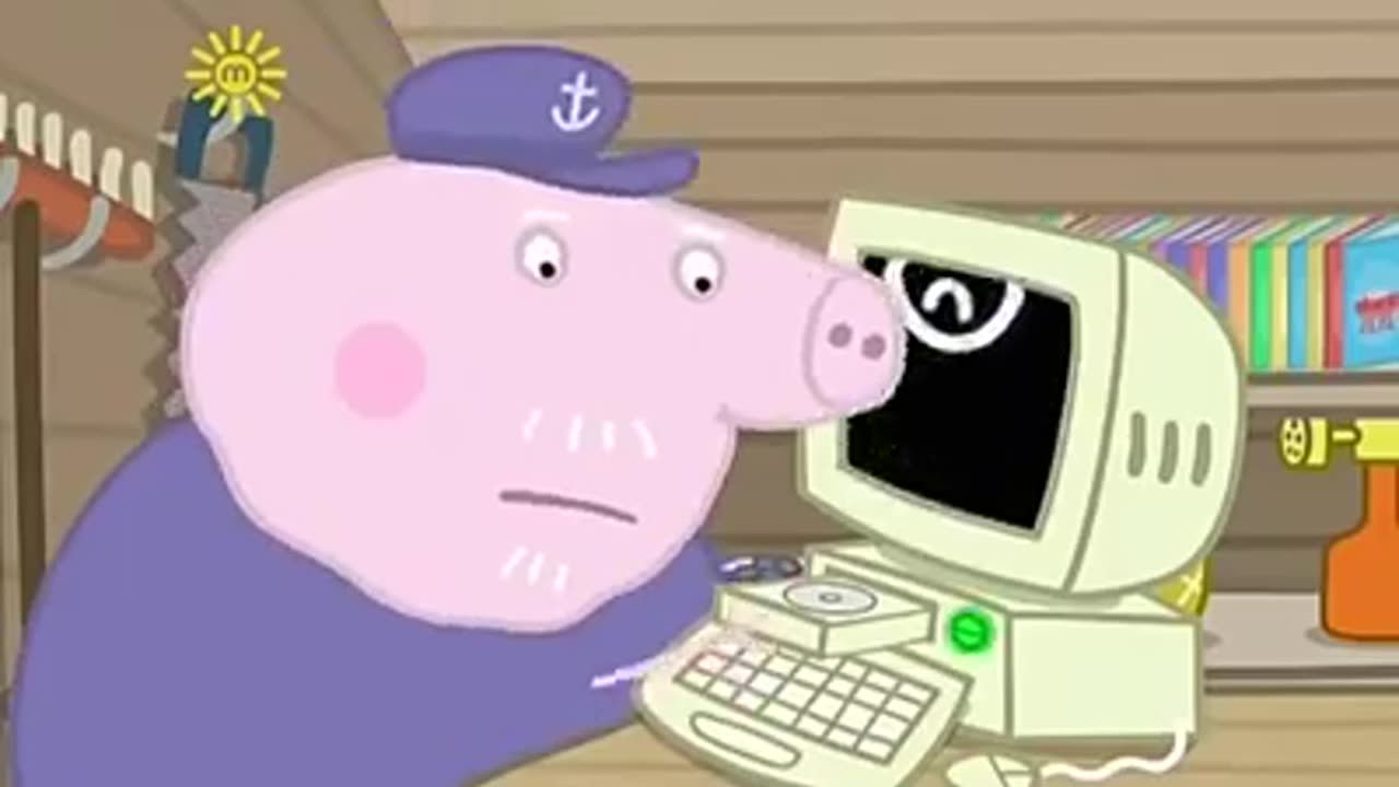 Animals videos