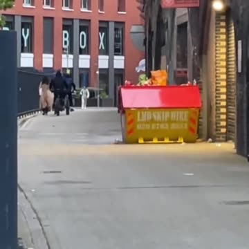 Woman robbed in London in broad daylight by usual suspects. Sadiq Khan made London hell.