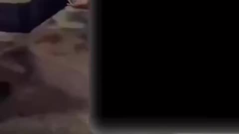 A car has drove into pedestrians in France.