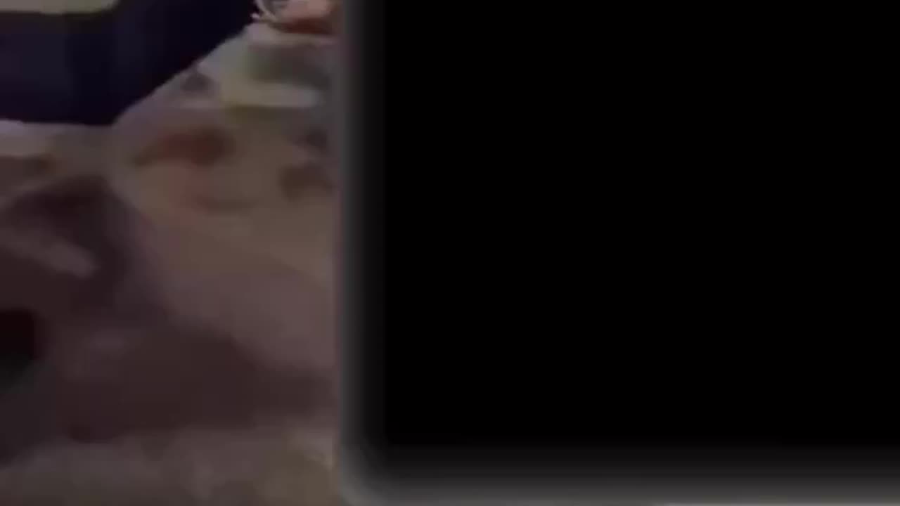 A car has drove into pedestrians in France.