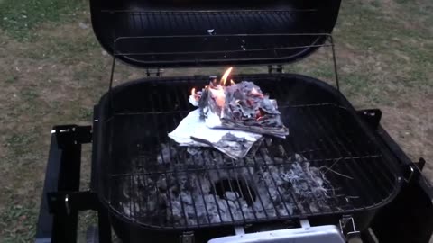 Burn the Mormon books for what they believe about Black People