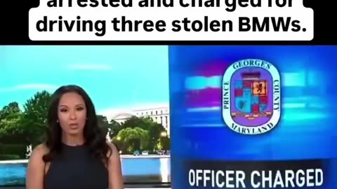 Police Officer / Thief