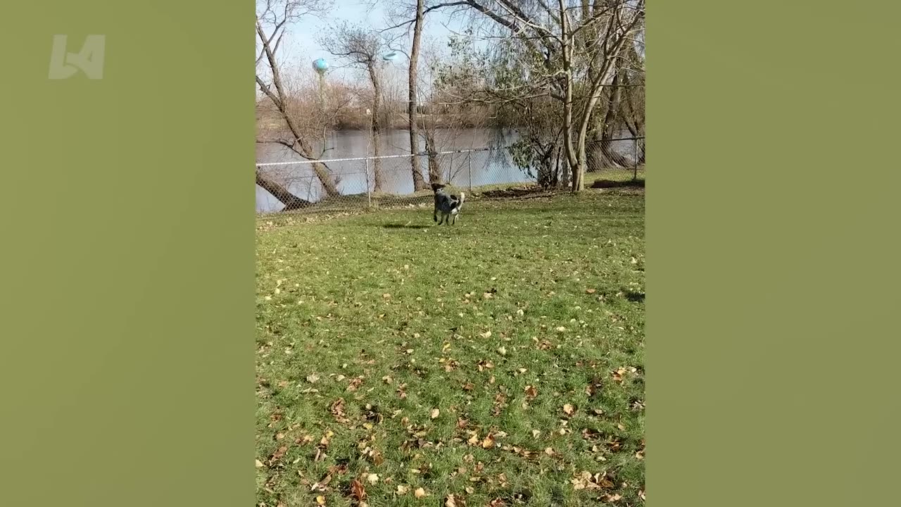 Fails Furious_ Try Not To Laugh Funny Videos (1080P_HD)
