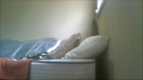 Smokeys Room