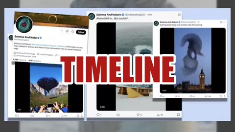 Fact Check: Video Does NOT Show Authentic Arctic Woolly Snake -- No Such Creature