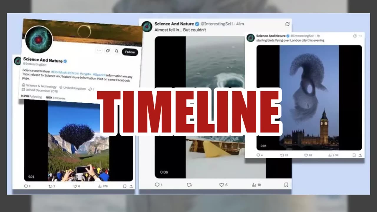 Fact Check: Video Does NOT Show Authentic Arctic Woolly Snake -- No Such Creature
