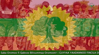 Qophii Eebba ONM-ABO Sadaasa 15-2025 itti dhiyaadhaa!