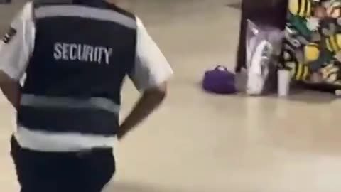 A large fight broke out at the Galveston Cruise