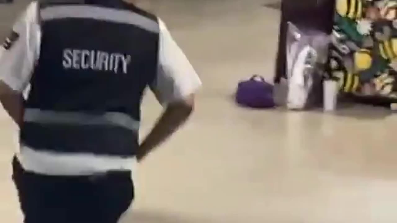 A large fight broke out at the Galveston Cruise