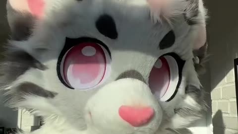 Msms