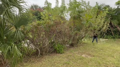 How Cleaning a Property Uncovered a Serious Community Safety Risk P8