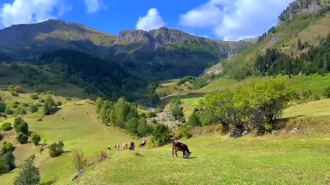 HARMONY OF VILLAGE LIFE IN THE CAUCASUS MOUNTAINS