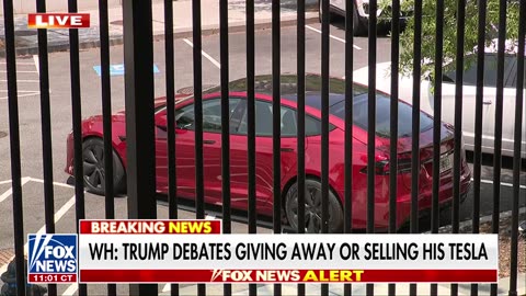 Elon Musk wants to speak to Trump as he debates giving away Tesla