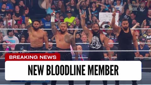 Update On New Bloodline Member Potentially Debuting