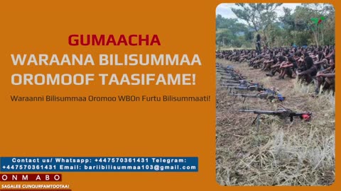 Gabaasa Gumaacha ONM-ABO Waxaabajjii 25-2025 itti dhiyaadhaa!