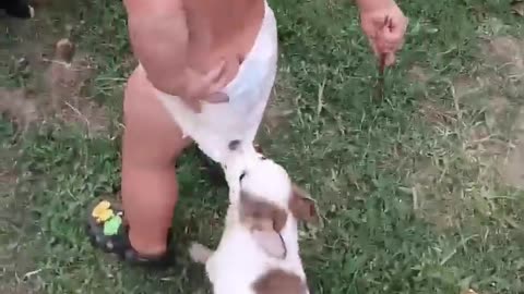 An attack! The guard!