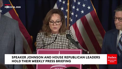 Lisa McClain: This Is The Democrats' 'Latest Liberal Lunacy'
