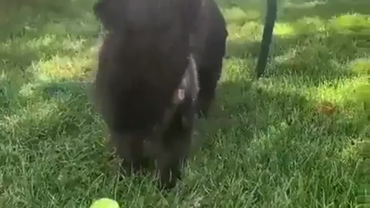 what a beautiful moment