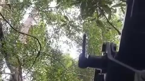 Thai Military Attack Cambodian Military, Supported by F16 fight Use US Made To Drop Heavy Bombs.