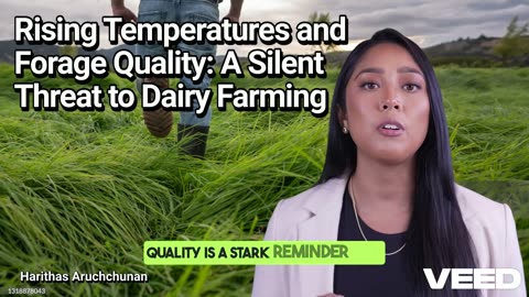 Rising Temperatures & Forage Quality:A Silent Threat to Dairy Farming