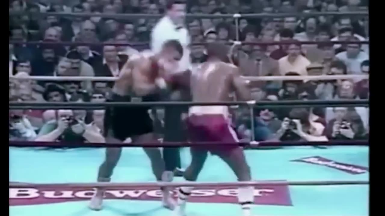Mike Tyson vs Butterbean - Fantasy Fight