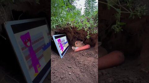 The little rabbit hides in the hole and watches TV. Cute pet rabbit in the countryside.