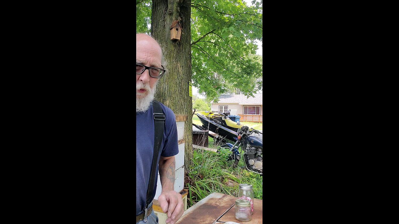 Peppermint Candy & Bees 3