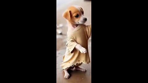The poor puppy was made fun of because he didn_t have a tractor