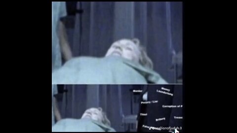 TRUTH BULLDOZER ( 1 )