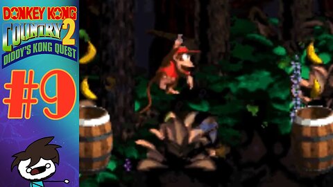 Wind, the Level | DKC2: Diddy's Kong Quest (Part 9)