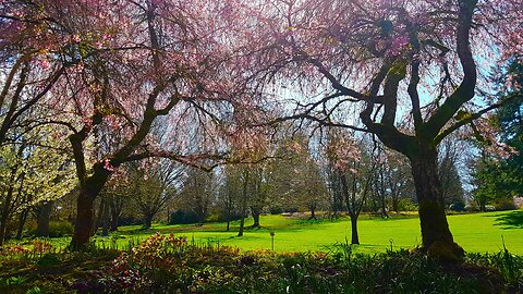 SPRING EQUINOX 2025 - Tarot with Titania