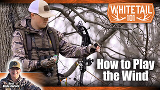 How the Wind Affects Whitetail Deer Hunting