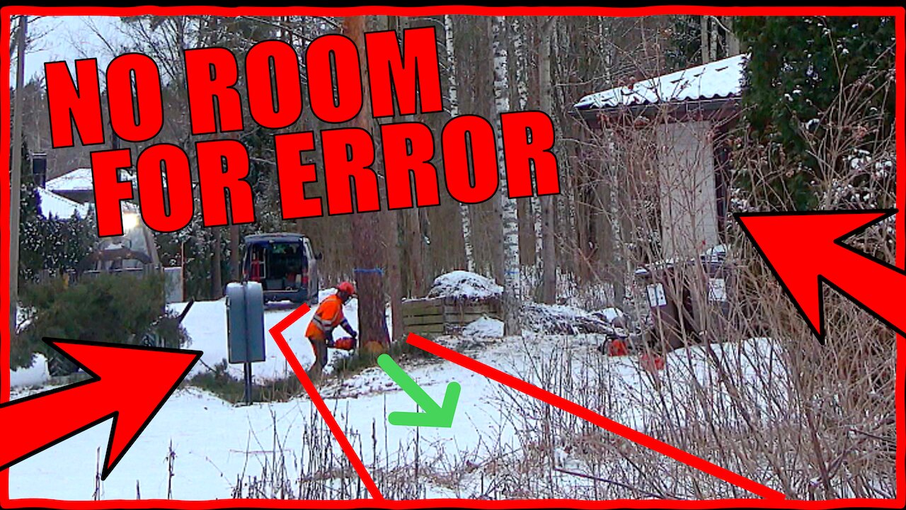 Tree Removal With No Margin for Error – Helsinki Backyard Challenge