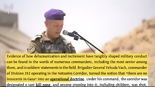 The Genocide in Gaza (Using Israeli Sources) - GDF