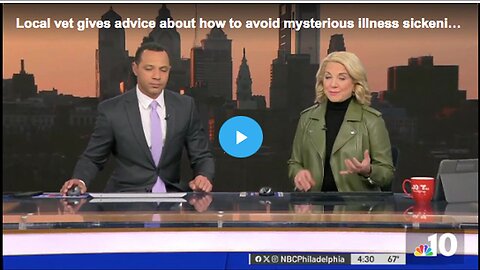 "Local Vet's Advice on Preventing Mysterious Canine Illness"