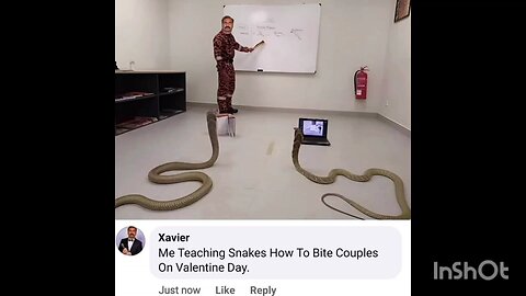 Me Teaching Snakes How To Bite Couples On Valentine Day.