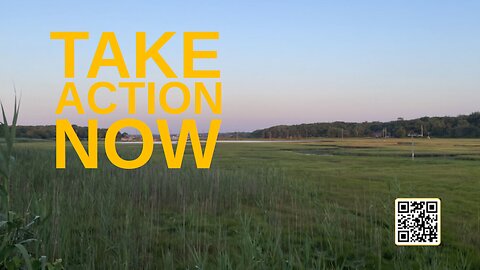 Citadel Summer Episode 29: Take Action Now