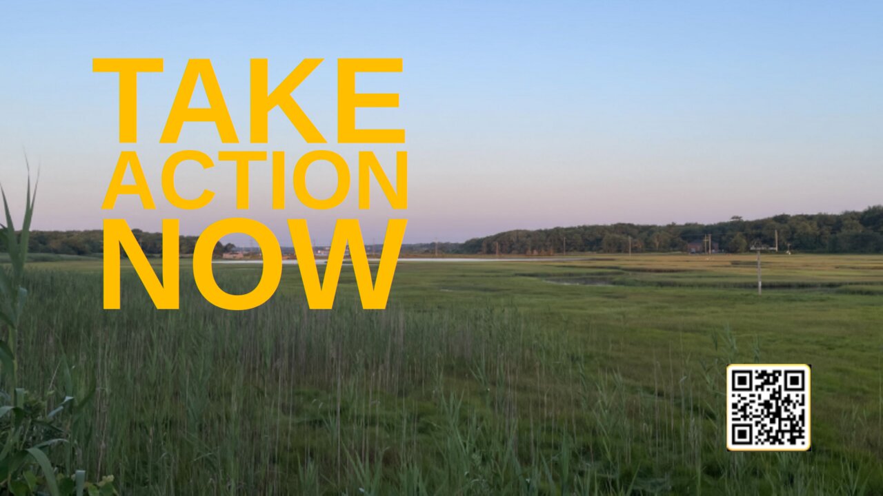 Citadel Summer Episode 29: Take Action Now