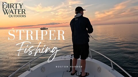 Pogies & Stripers EVERYWHERE! | Striped Bass Fishing Boston Harbor