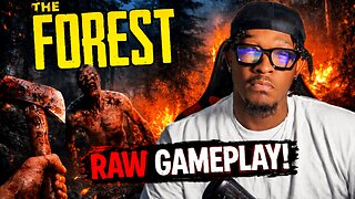 We Went Back To The Forest