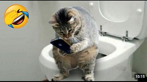 Funniest Cats and Dogs 😺🐶 Funny Animals 2023 😍