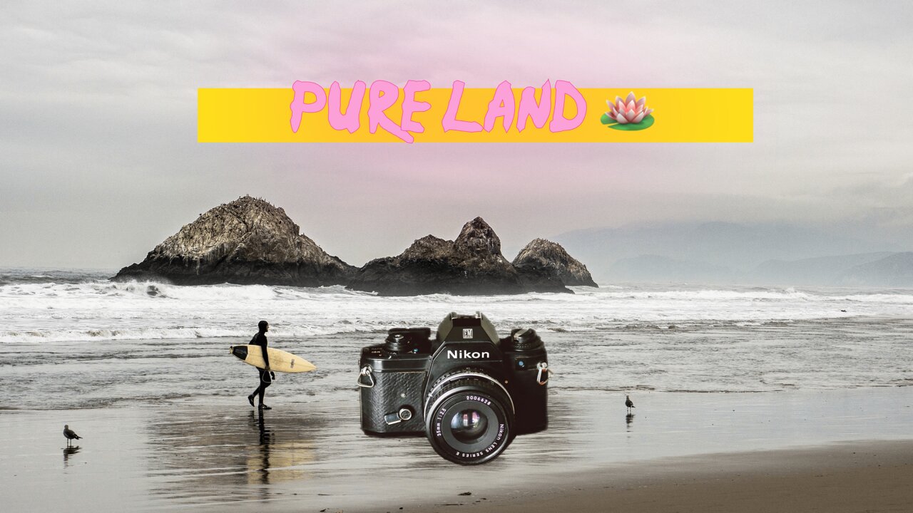 Pure land 🪷