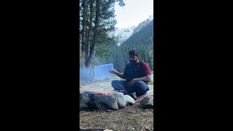 Nature Timelapse Relaxation