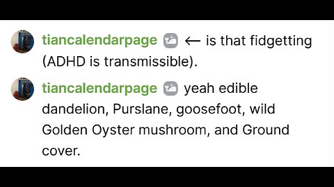 December 14 2025 -- I can video stream