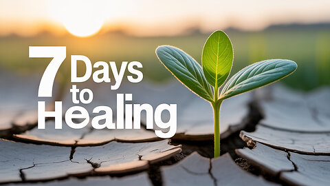 Can You Beat Fibromyalgia in 7 Days?