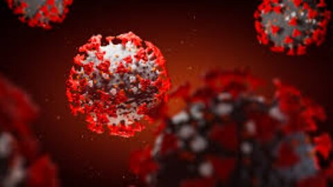 Ultimate Covid Hoax why RFK Jr Researcher Dr Couey says Virus Never Existed