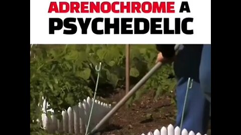 ADRENOCHROME A PSYCHEDELIC DRUG EXTRACTED FROM,