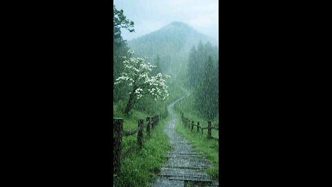 ainy scenery in mountains and forests