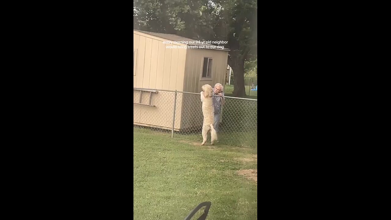 The bark at the end😍#qutedog