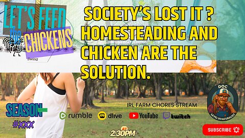 Let's Feed the Chickens | 🤯 Society’s Lost It ? Homesteading and Chicken are the Solution.
